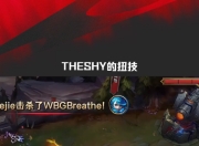 旺财28-TheShy迎来七赛季高光表现，西班牙队球迷沸腾！的简单介绍