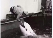 28娱乐- 足球大师赛，河套铁骑队与吴越海豚队强势反弹，体能对抗拉满！细节处理更胜一筹