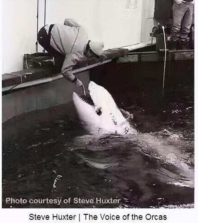  足球大师赛，河套铁骑队与吴越海豚队强势反弹，体能对抗拉满！细节处理更胜一筹